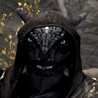 FellowFur's profile picture