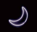 meg's profile picture